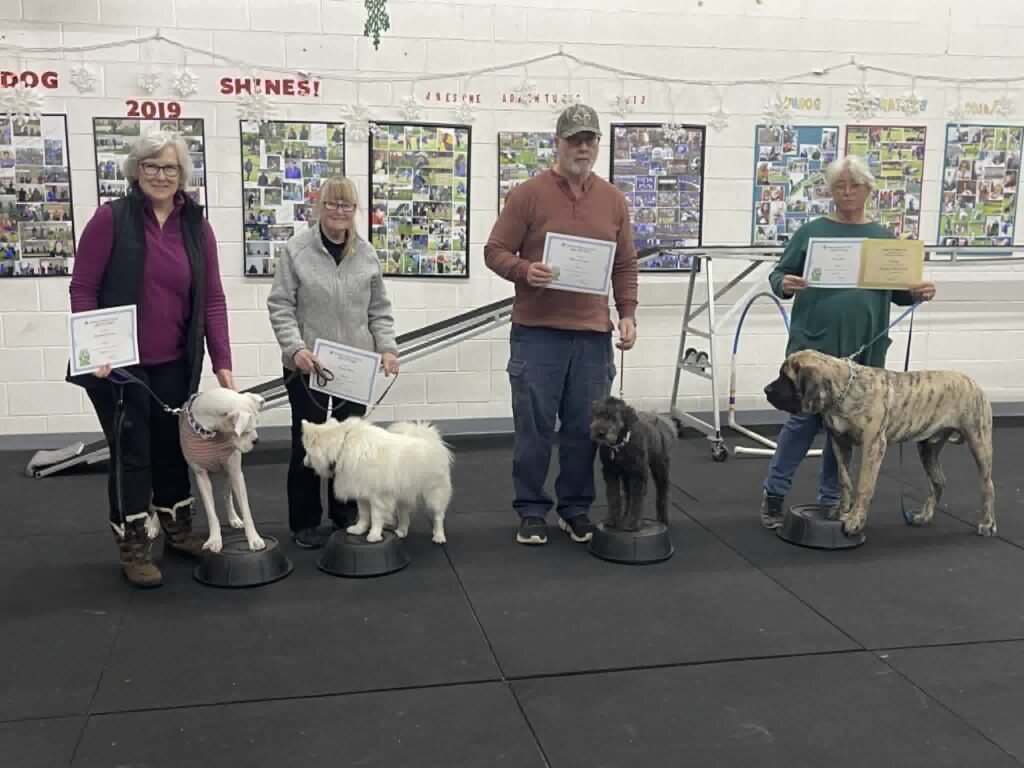 Basic Obedience graduates Nov 2025